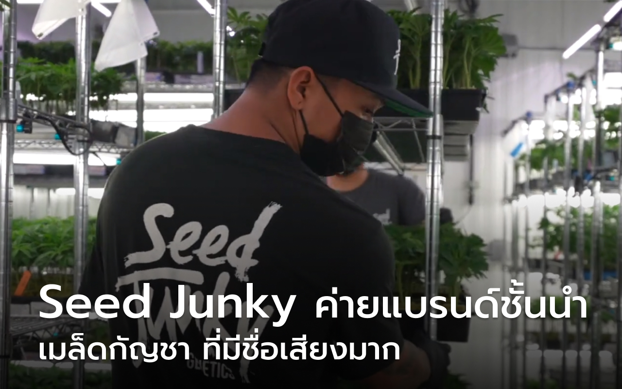 Seedjunky