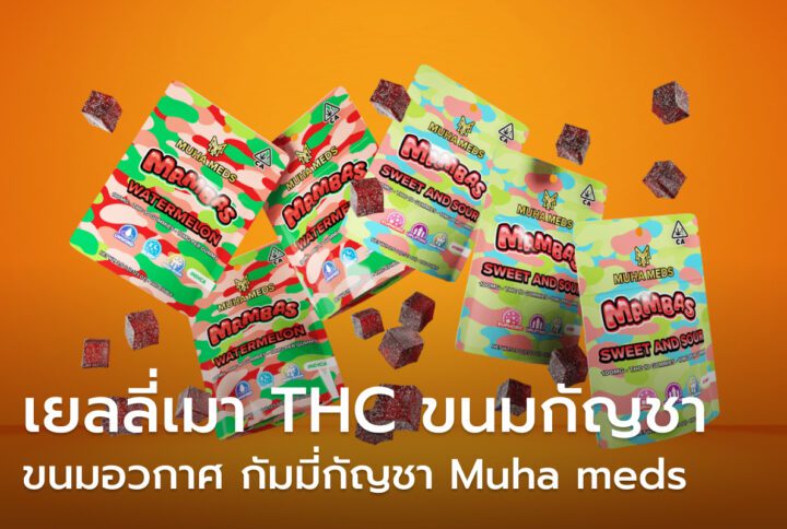 เยลลี่เมา ผสมTHC เยลลี่กัญชา Muha meds ขนมสายเขียว
